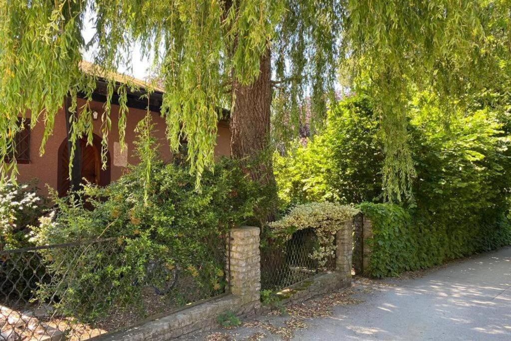 Gartenwohnung 5 Min. Zur Stadt Hagenau Exterior photo